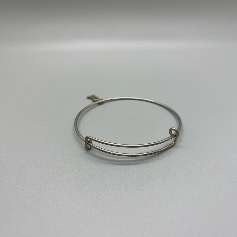 Alex and Ani “R” Initial - Picture 5 of 6